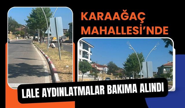Karaağaç Mahallesi’nde Lale Aydınlatmalar Bakıma Alındı