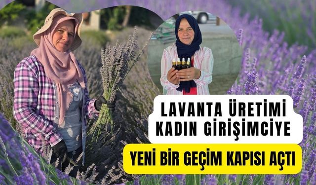 Lavanta Üretimi Kadın Girişimciye Yeni Bir Geçim Kapısı Açtı