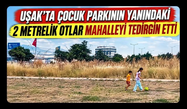 Uşak’ta Çocuk Parkının Yanındaki 2 Metrelik Otlar Mahalleliyi Tedirgin Etti