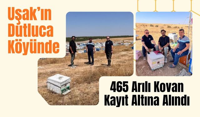 Uşak’ın Dutluca Köyünde 465 Arılı Kovan Kayıt Altına Alındı