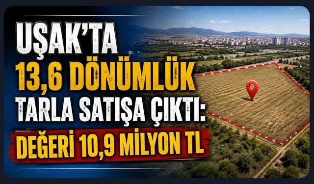 Uşak’ta 13,6 Dönümlük Tarla Satışa Çıktı: Değeri 10,9 Milyon TL