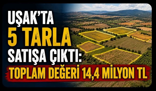 Uşak’ta 5 Tarla Satışa Çıktı: Toplam Değeri 14,4 Milyon TL