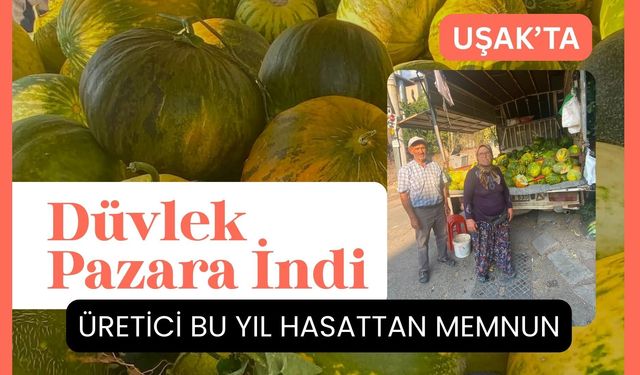 Uşak’ta Düvlek Pazara İndi: Üretici Bu Yıl Hasattan Memnun