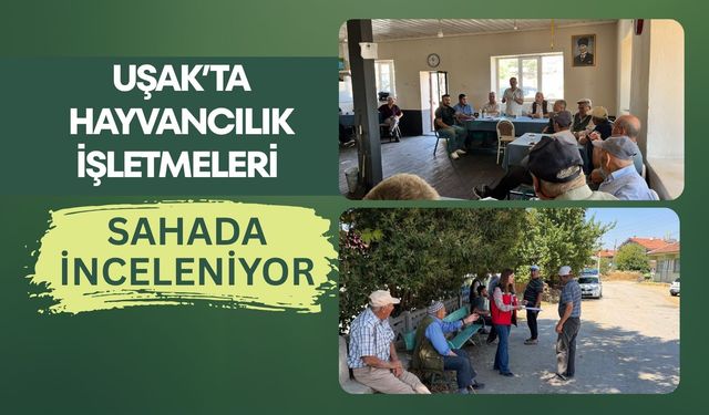 Uşak’ta Hayvancılık İşletmeleri Sahada İnceleniyor: Üreticinin Sorunları Yerinde Dinleniyor