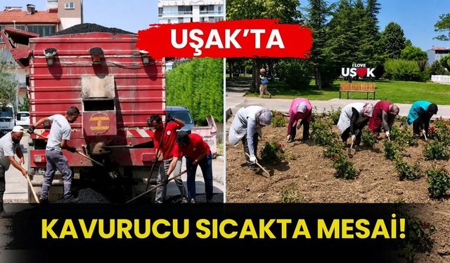 Uşak’ta Kavurucu Sıcakta Mesai! Belediye İşçileri Sahadaki Çalışmalarını Sürdürüyor