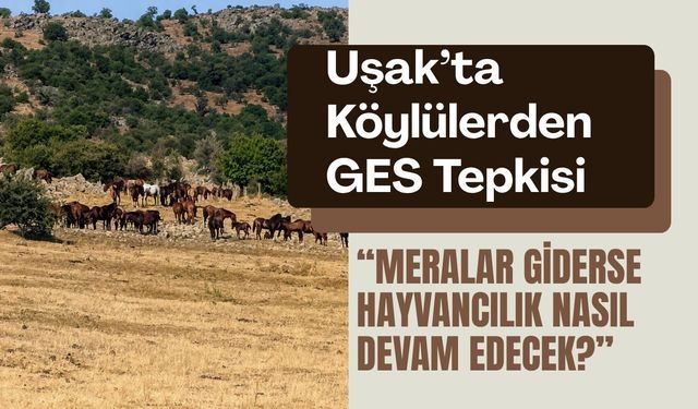 Uşak’ta Köylülerden GES Tepkisi: “Meralar Giderse Hayvancılık Nasıl Devam Edecek?”