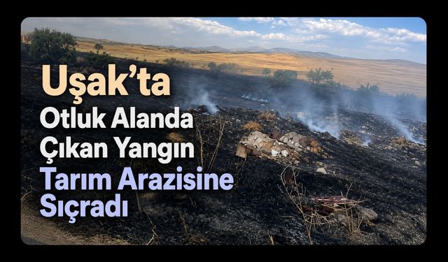 Uşak’ta Otluk Alanda Çıkan Yangın Tarım Arazisine Sıçradı