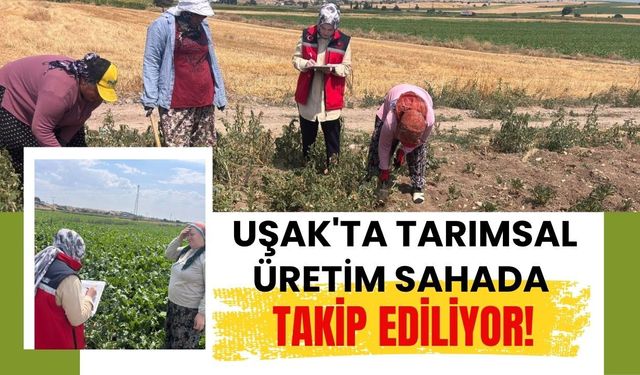 Uşak'ta Tarımsal Üretim Sahada Takip Ediliyor! Veriye Dayalı Planlama İçin Çalışmalar Sürüyor