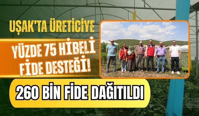 Uşak’ta Üreticiye Yüzde 75 Hibeli Fide Desteği! 260 Bin Fide Dağıtıldı