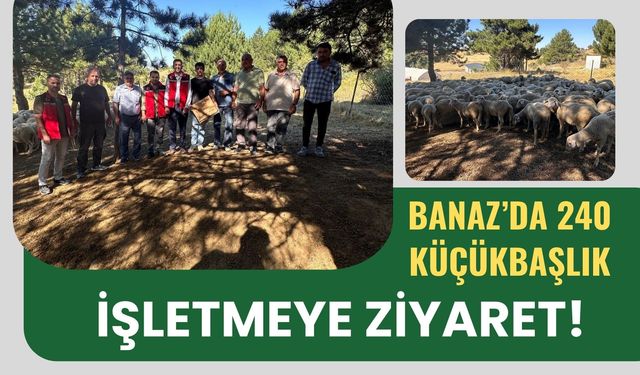 Banaz’da 240 Küçükbaşlık İşletmeye Ziyaret! Genç Üreticinin Hedefi Dikkat Çekti
