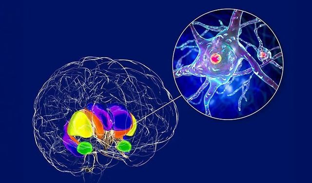 Huntington Hastalığında Bu Belirtilere Dikkat: Genetik Olarak Aktarılabiliyor