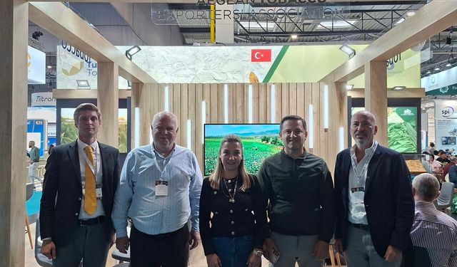 Türkiye’nin Tütün İhracatı 1,1 Milyar Doları Aştı