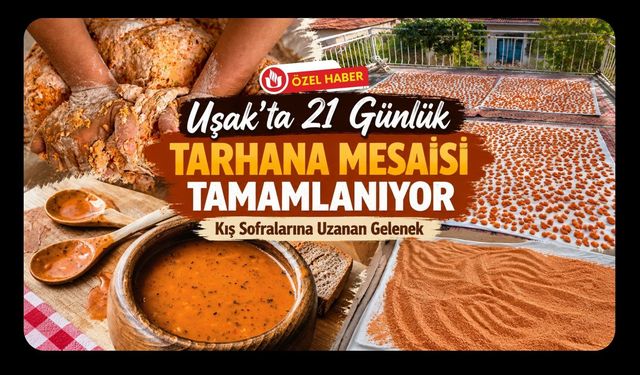 Uşak’ta 21 Günlük Tarhana Mesaisi Tamamlanıyor, Kış Sofralarına Uzanan Gelenek