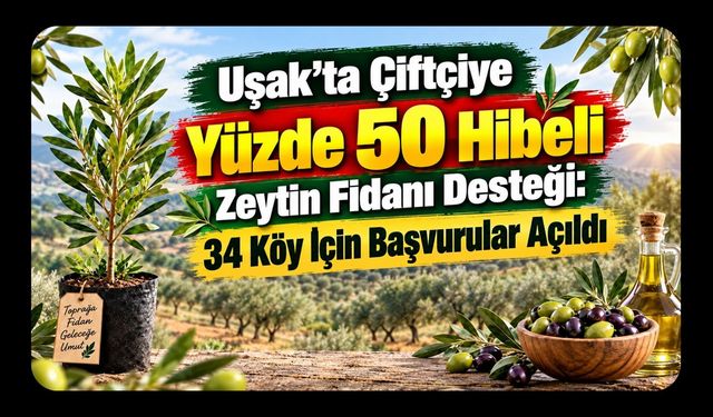 Uşak’ta Çiftçiye Yüzde 50 Hibeli Zeytin Fidanı Desteği: 34 Köy İçin Başvurular Açıldı