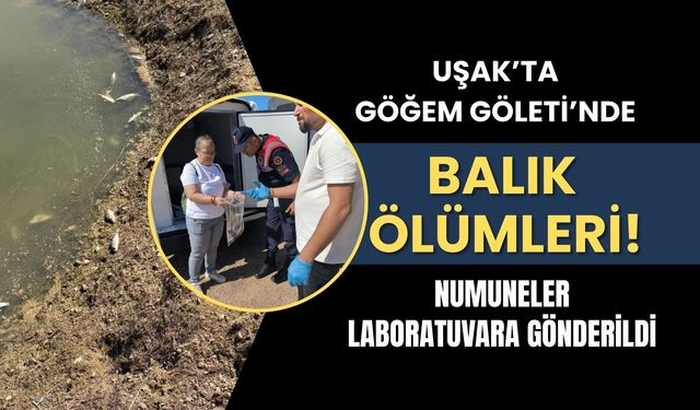 Uşak’ta Göğem Göleti’nde Balık Ölümleri! Numuneler Laboratuvara Gönderildi