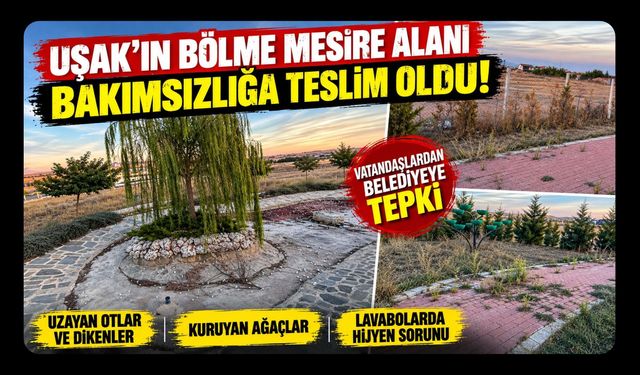 Uşak’ın Bölme Mesire Alanı Bakımsızlığa Teslim Oldu! Vatandaşlardan Belediyeye Tepki