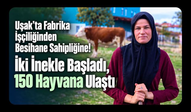 Uşak’ta Fabrika İşçiliğinden Besihane Sahipliğine! İki İnekle Başladı, 150 Hayvana Ulaştı