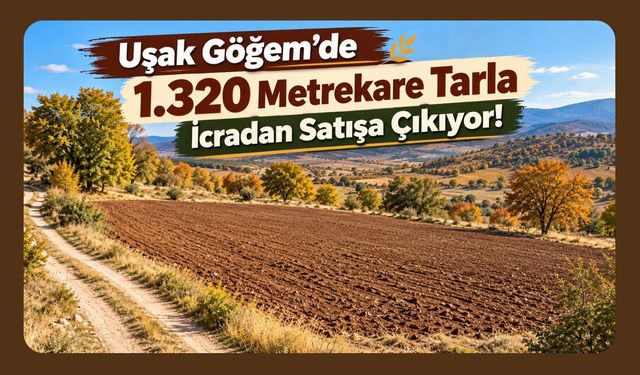 Uşak Göğem'de 1.320 Metrekare Tarla İcradan Satışa Çıkıyor!