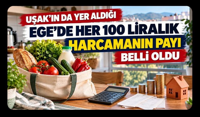 Uşak’ın da Yer Aldığı Ege’de Her 100 Liralık Harcamanın Payı Belli Oldu