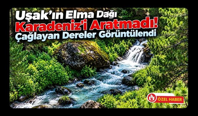 Uşak’ın Elma Dağı Karadeniz’i Aratmadı! Çağlayan Dereler Görüntülendi