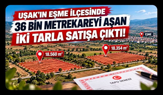 Uşak'ın Eşme İlçesinde 36 Bin Metrekareyi Aşan İki Tarla Satışa Çıktı!
