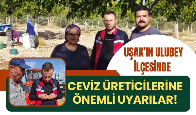 Uşak’ın Ulubey İlçesinde Ceviz Üreticilerine Önemli Uyarılar!