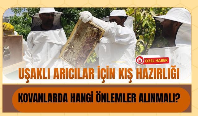 Uşaklı Arıcılar İçin Kış Hazırlığı: Kovanlarda Hangi Önlemler Alınmalı?