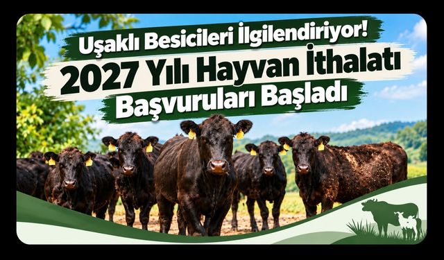 Uşaklı Besicileri İlgilendiriyor! 2027 Yılı Hayvan İthalatı Başvuruları Başladı