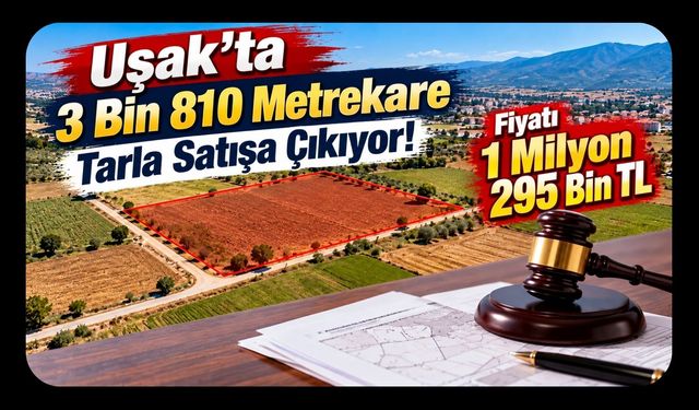 Uşak’ta 3 Bin 810 Metrekare Tarla Satışa Çıkıyor! Fiyatı 1 Milyon 295 Bin TL