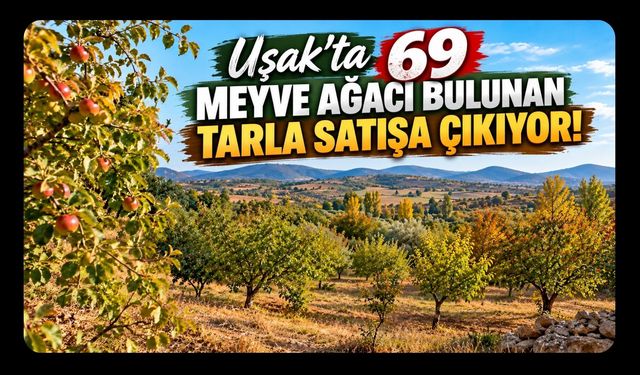 Uşak'ta 69 Meyve Ağacı Bulunan Tarla Satışa Çıkıyor!