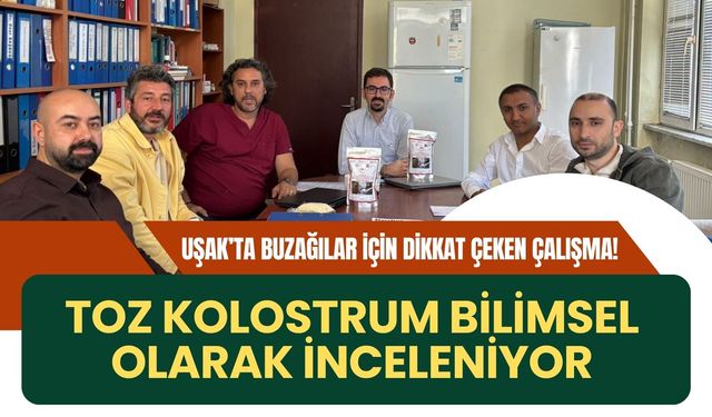 Uşak’ta Buzağılar İçin Dikkat Çeken Çalışma! Toz Kolostrum Bilimsel Olarak İnceleniyor