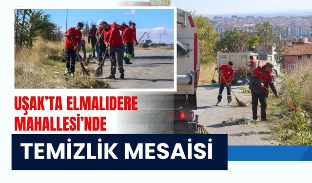 Uşak’ta Elmalıdere Mahallesi’nde Temizlik Mesaisi