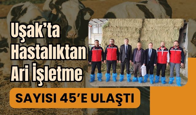 Uşak’ta Hastalıktan Ari İşletme Sayısı 45’e Ulaştı