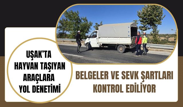 Uşak’ta Hayvan Taşıyan Araçlara Yol Denetimi, Belgeler ve Sevk Şartları Kontrol Ediliyor