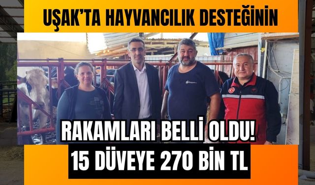 Uşak’ta Hayvancılık Desteğinin Rakamları Belli Oldu! 15 Düveye 270 Bin TL