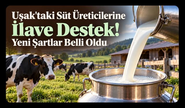Uşak'taki Süt Üreticilerine İlave Destek! Yeni Şartlar Belli Oldu