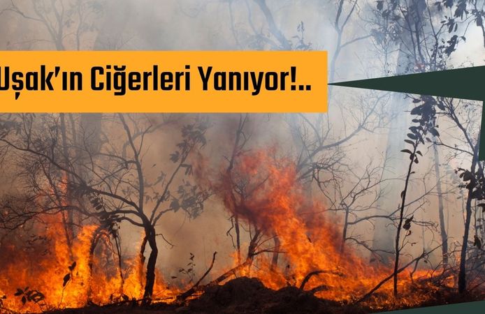 Uşak’ın Ciğerleri Yanıyor!..