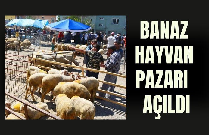 Banaz Hayvan Pazarı 14 Ay Sonra Yeniden Açıldı
