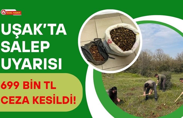 Uşak’ta Salep Uyarısı: 699 Bin TL Ceza Kesildi!