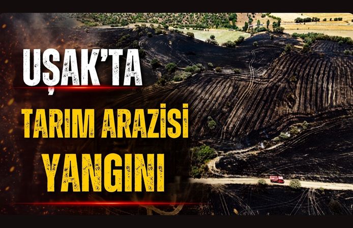 Uşak'ta Tarım Arazisi Yangını Kontrol Altına Alındı