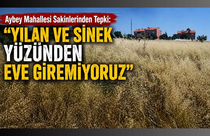 Aybey Mahallesi Sakinlerinden Tepki: “Yılan ve Sinek Yüzünden Eve Giremiyoruz"