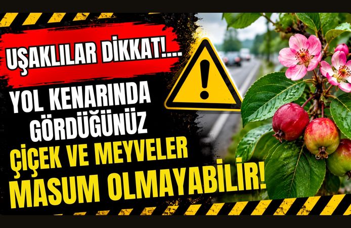 DİKKAT!.. Yol Kenarında Gördüğünüz Çiçek ve Meyveler Masum Olmayabilir!