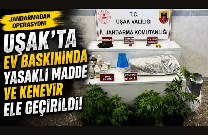 Uşak'ta Ev Baskınında Yasaklı Madde ve Kenevir Ele Geçirildi
