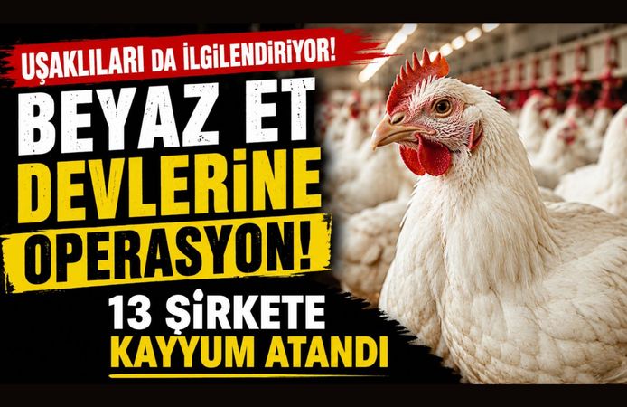 Uşaklıları da İlgilendiriyor! Beyaz Et Devlerine Operasyon, 13 Şirkete Denetim Kayyumu Atandı