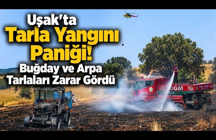 Uşak'ta Buğday ve Arpa Tarlaları Zarar Gördü