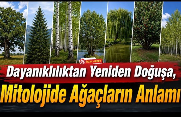 Dayanıklılıktan Yeniden Doğuşa, Mitolojide Ağaçların Anlamı!