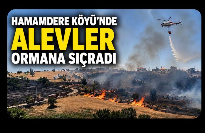 Hamamdere Köyü'nde Alevler Ormana Sıçradı
