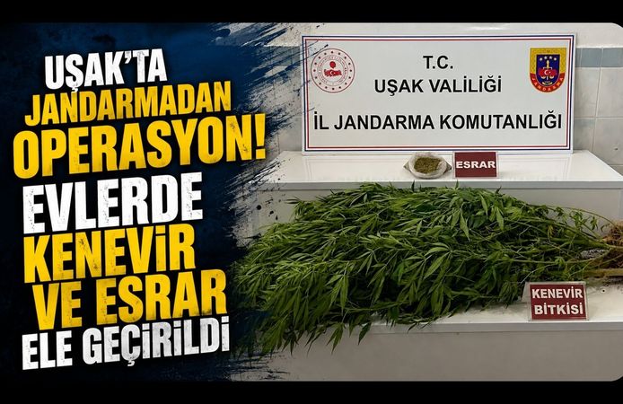 Uşak'ta Jandarmadan Operasyon! Evlerde Kenevir ve Esrar Ele Geçirildi
