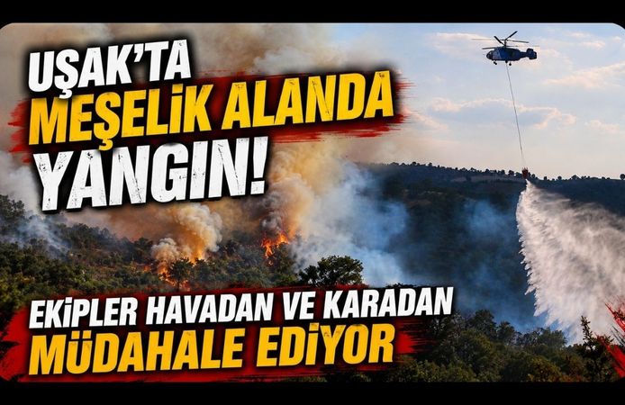 Uşak'ta Meşelik Alanda Yangın! Ekipler Havadan ve Karadan Müdahale Ediyor