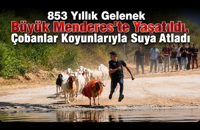 853 Yıllık Gelenek Büyük Menderes’te Yaşatıldı, Çobanlar Koyunlarıyla Suya Atladı